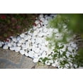 thumbnail image 6 of Himalaya White Marble 0.5 cu. ft. per Bag (1 in. to 2 in.) Natural Bagged Pebbles, 6 of 6