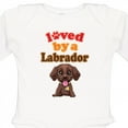 thumbnail image 4 of Inktastic Labrador Chocolate Lab Boys or Girls Long Sleeve Baby Bodysuit, 4 of 5