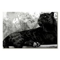 Elephant Stock Black Panther Monochrome Wall Art - Horizontal Canvas Wall Art - Living Room Wall Decor - Animal Canvas - Black And Gray Decor - 12" x 8"