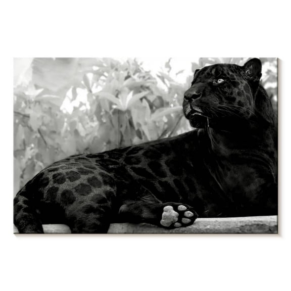 Elephant Stock Black Panther Monochrome Wall Art - Horizontal Canvas Wall Art - Living Room Wall Decor - Animal Canvas - Black And Gray Decor - 12" x 8"