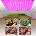 thumbnail image 2 of Lámpara de Cultivo LED 169 Btafrte 12W Jardinería Interior Verduras, 2 of 9