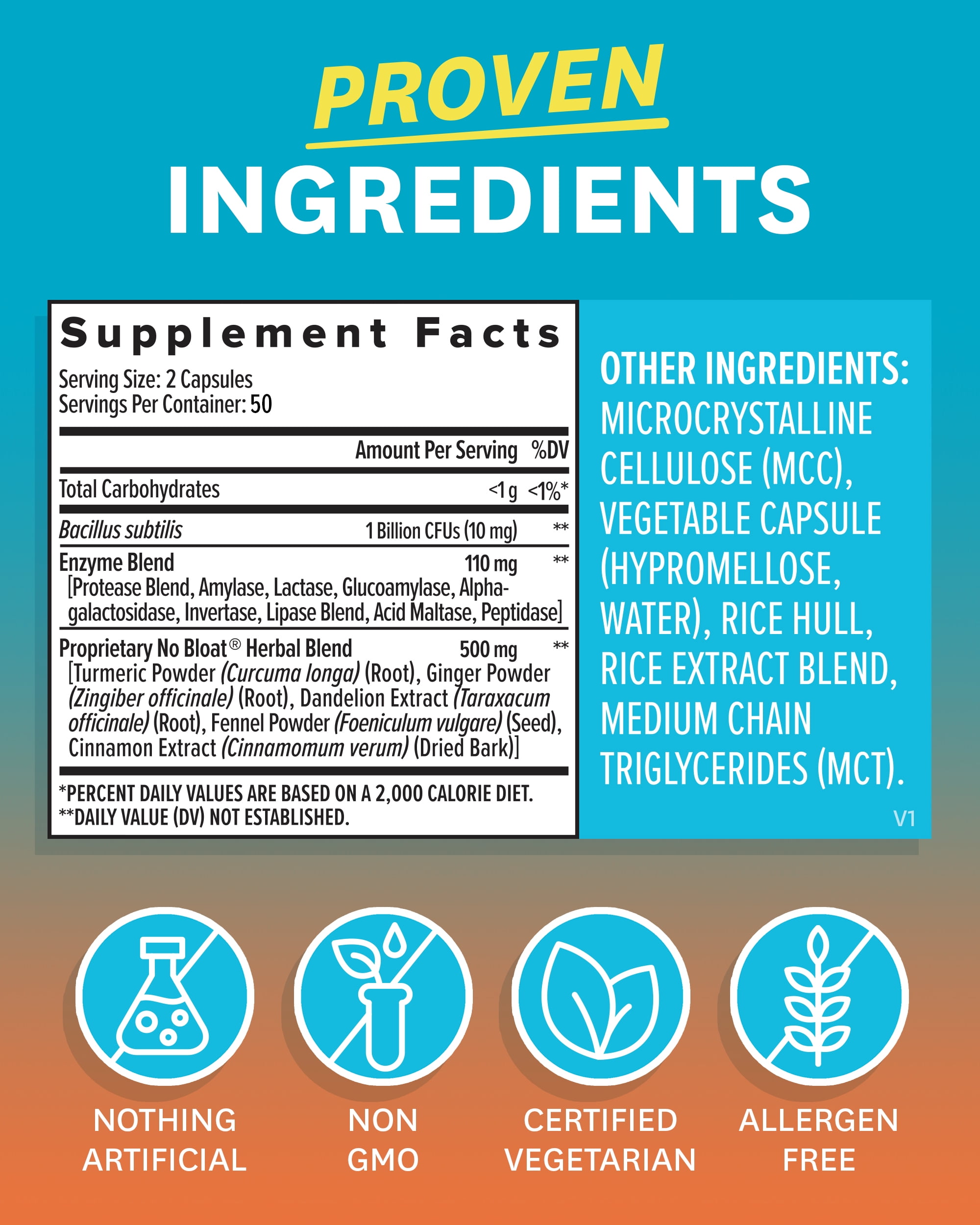 Zenwise Health NO BLØAT - Probiotics for Digestive Health with Ginger, Dandelion, and Cinnamon, Digestive Enzymes for Gas and Bloating Relief for Women and Men - Water Retention Pills - 100 Count