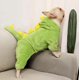 thumbnail image 2 of Disfraz de dinosaurio para perro, disfraz de perro de Halloween para perros pequeños y medianos, divertidos disfraces de Halloween para perros pequeños, disfraz de perro Frenchie para, 2 of 3