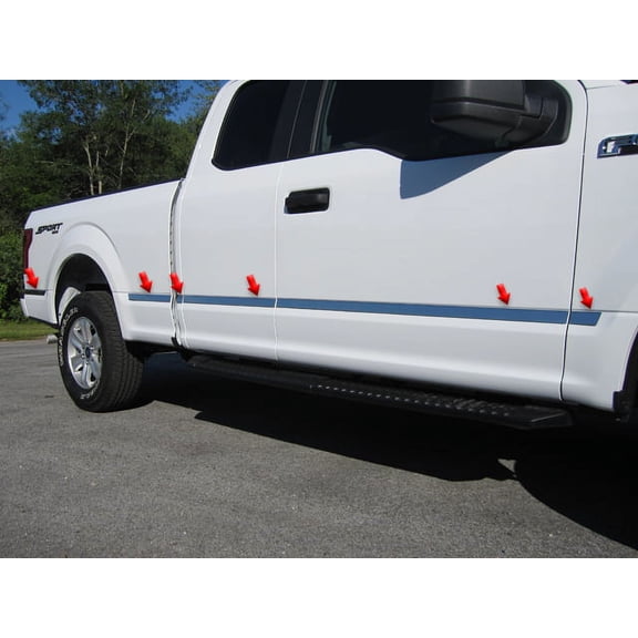 Stainless Steel Molding Insert 12Pc Fits 2015-2020 Ford F-150 MI55302 QAA