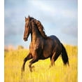 thumbnail image 3 of Ambesonne Horses Duvet Cover Set, Meadow Mystery Horse, 2-Calking, Yellow Brown Blue, 3 of 7
