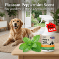 thumbnail image 6 of Nature’s Dome Peppermint Flea and Tick Spray 16 Oz | Non Toxic, Plant-Based Pest Control Peppermint Oil Spray for Mosquitos, Larvae & Eggs | Indoor and Outdoor Use | Safe for Pets & Kids, 6 of 14