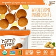 Homefree Mini Ginger Snap OIF8 Cookies, Organic, Gluten Free, Nut Free