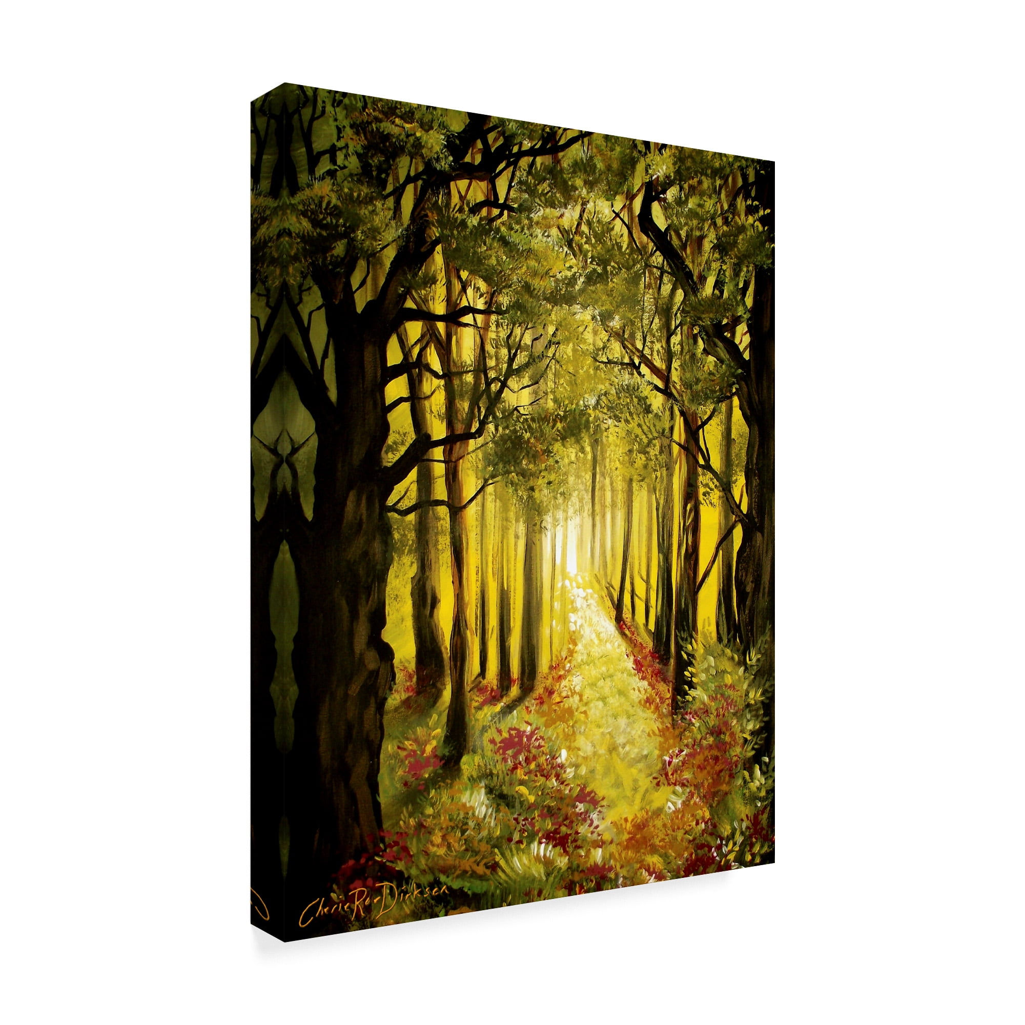 Trademark Fine Art 'Sunlit Forest Path' Canvas Art by Cherie Roe Dirksen