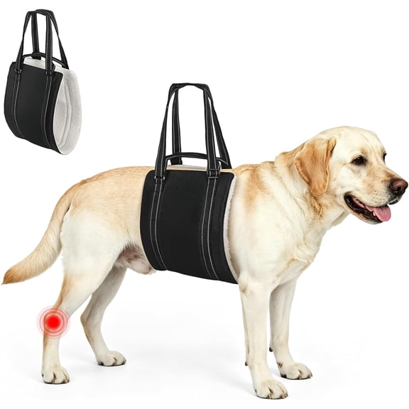 Adjustable Dog Lift Harness – Hind Leg Support Sling for Senior, Injured, Disabled Dogs, Post-Surgery Recovery Aid for Weak Rear Legs, Helps with Mobility, Standing, Stairs & Daily Movement