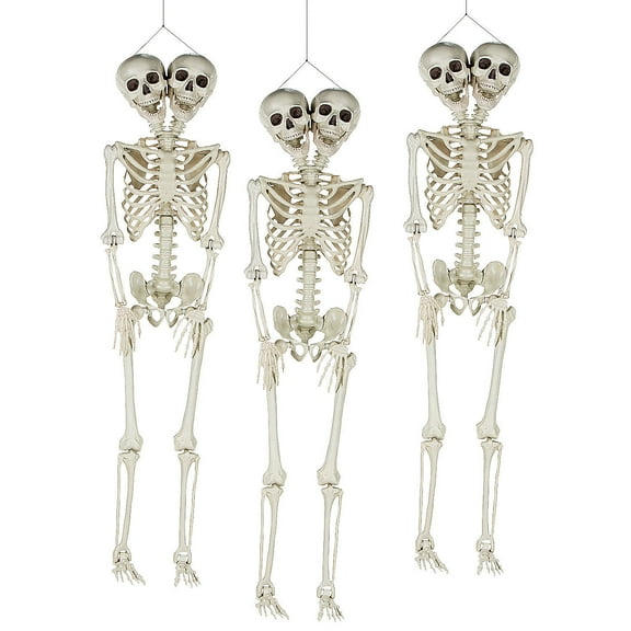 Bulk Two-Headed Life-Size Posable Skeleton Halloween Decorations - 3 Pc