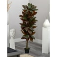 thumbnail image 3 of Nearly Natural 5' Cordyline Artificial Plant (Real Touch), Green, 3 of 3