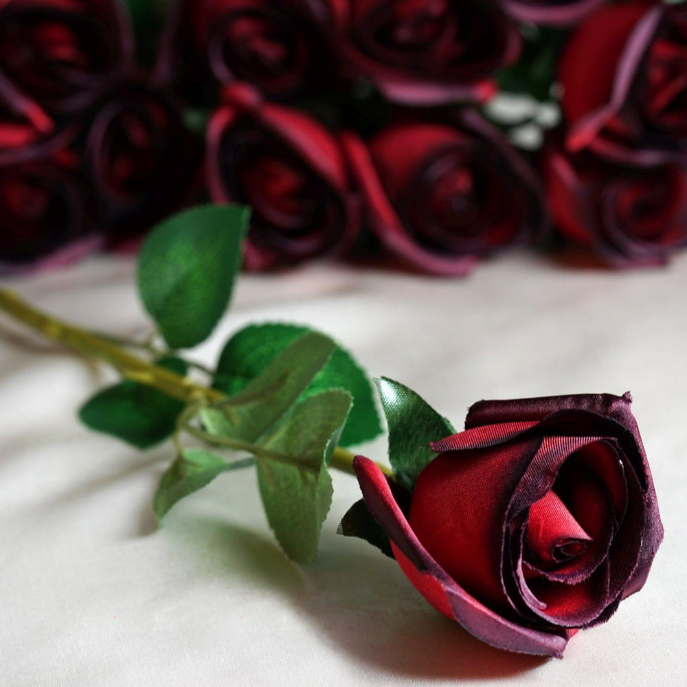 24 pcs Red/Black Artificial Long Stem Silk Rose Flowers With Green Leaves