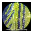 thumbnail image 4 of 100x Zoom Multifunction Microscope Loupe Adjustable Portable Led with Light Magnifier Mini Jewelry Pocket Handheld, 4 of 5