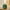 Green, variant on PATLOLLAV Plug in Essential Oil Diffusers, Type-c Inport Cordless Diffuser for Essential Oils, Wireless Aromatherapy Diffuser with Warm Light, Portable Ultrasonic Diffuser for Travel Home