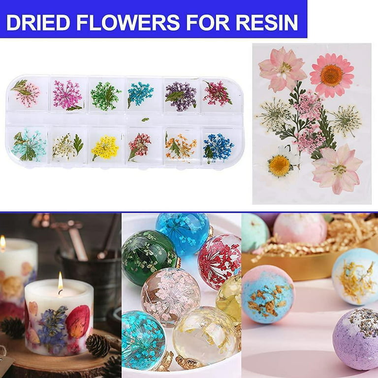 219Pcs Resin Kit for Beginners, Thrilez Resin Mold Kit with Resin Molds  Silicone and Epoxy Resin Supplies Include Dried Flowers, Foil Flakes,  Necklace