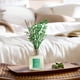 thumbnail image 3 of Set de difusores Reed Airkeep Pure Gardenia, 100 ml, con 8 barras, 3 of 7