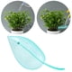 thumbnail image 1 of Embudo de riego para maceta Uds., forma para bonsái de interior y exterior, dispositivos de riego, decoración, de riego para , Azul DYNWAVEMX Embudo de riego de plantas, 1 of 8
