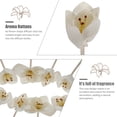 thumbnail image 4 of MasteelfCA 5pcs Aromatherapy Rattan Sticks Aromatherapy Accessories Flower Rattans, 4 of 9