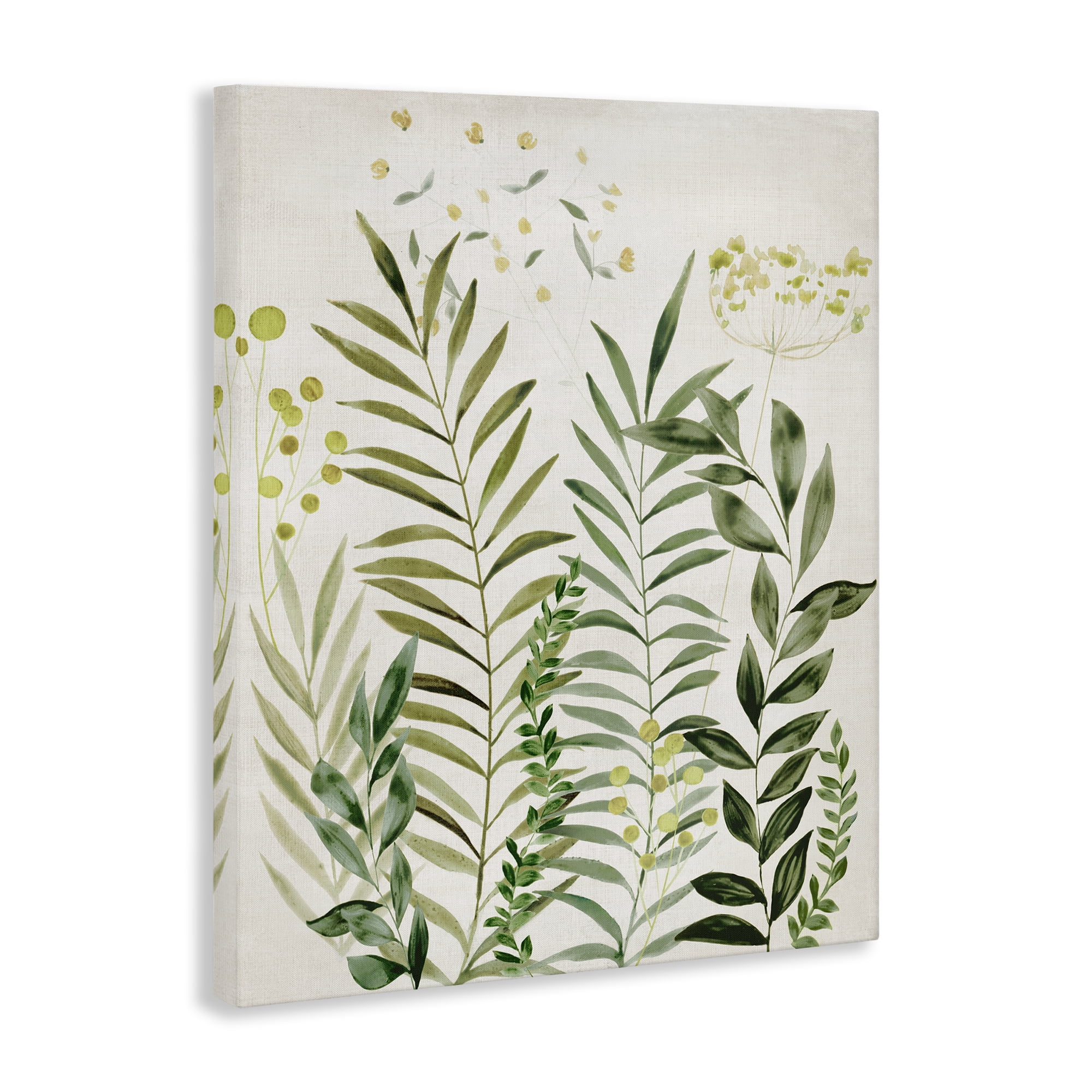 Stupell Industries Delicate Herbs & Leaves Plants & Flowers Painting Wrapped Canvas Art Print Wall Art, 24 x 30