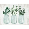 thumbnail image 2 of lettered And lined 32x25 White Modern Wood Framed Museum Art Print Titled - Herb Trio, 2 of 4
