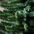 thumbnail image 2 of Vickerman 18" Mini Pine Artificial Christmas Tree, Unlit, 2 of 5