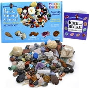 DANCING BEAR Rock, Mineral & Fossil Collection Activity Kit (125+ pcs and NO GRAVEL) 2 Geodes, Ammonite, Shark Tooth in Matrix, Fossilized Poo, Arrowheads, ID Sheet & Rock book, STEM Science Education