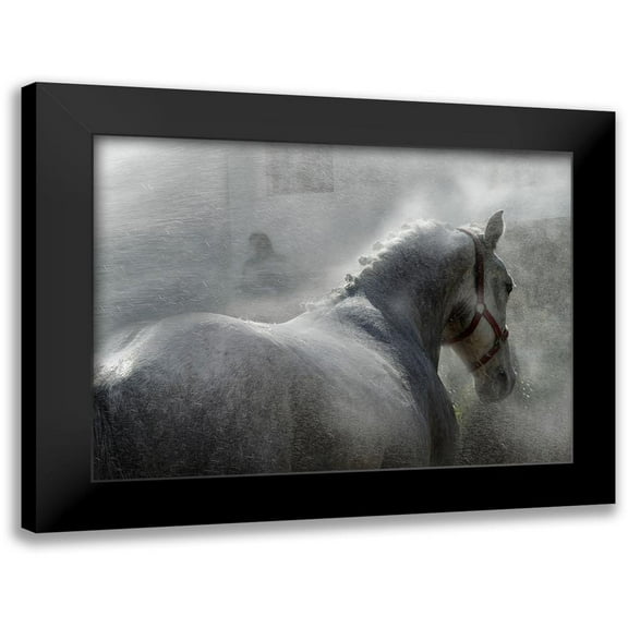 Malovrh, Milan 18x14 Black Modern Framed Museum Art Print Titled - gramy