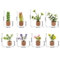 thumbnail image 4 of 16 mini macetas decorativas de corcho con suculentas artificiales para adornar tu hogar o oficina - Incluye imanes para nevera y base de madera (16 piezas), 4 of 6