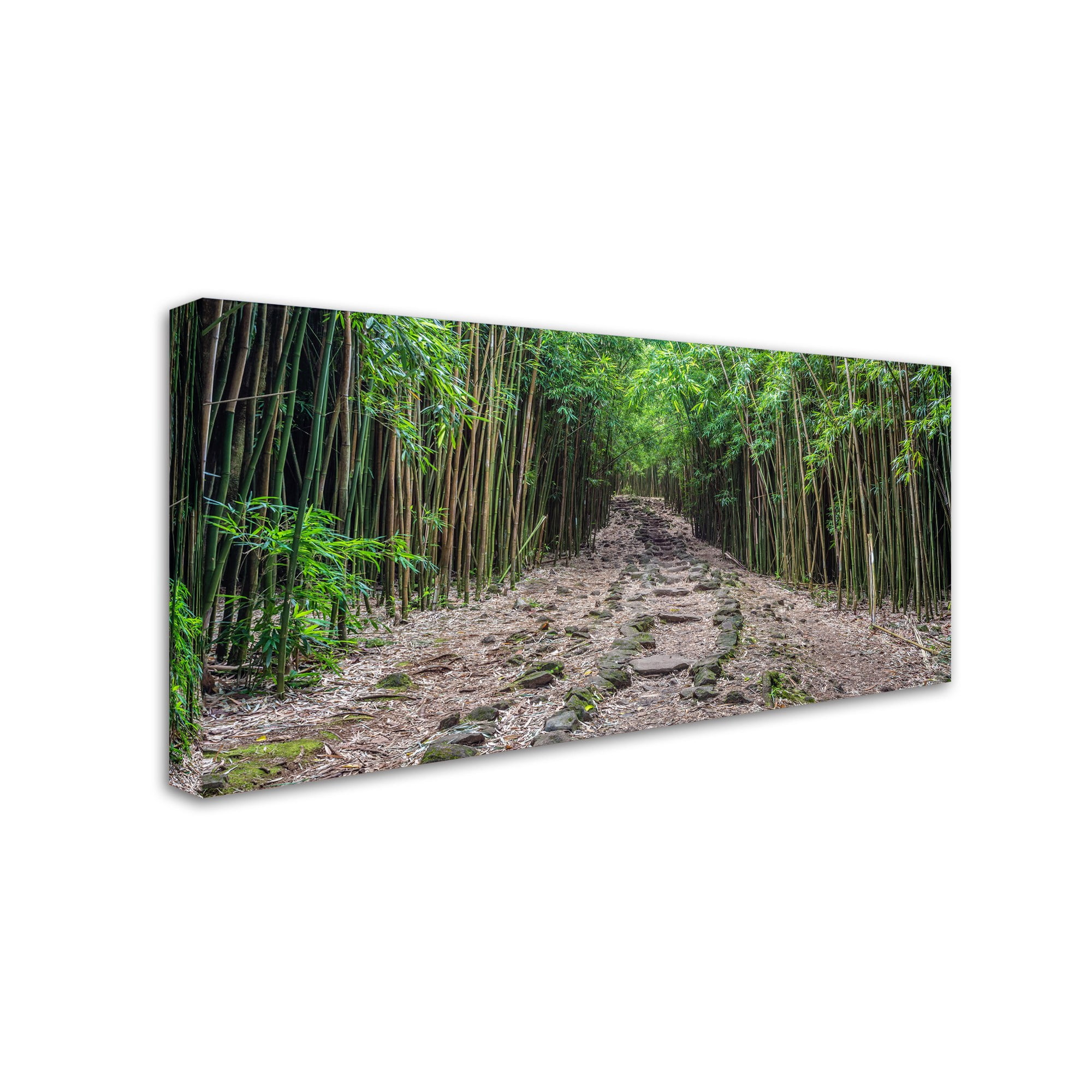 Trademark Fine Art 'Maui Bamboo Forest' Canvas Art by Pierre Leclerc