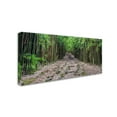 thumbnail image 3 of Trademark Fine Art 'Maui Bamboo Forest' Canvas Art by Pierre Leclerc, 3 of 4