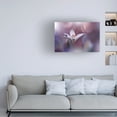 thumbnail image 4 of Trademark Fine Art Juliana Nan Time Traveller Canvas Wall Art, 4 of 4