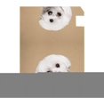 thumbnail image 4 of Coolnut Mailbox Cover Cute White Puppy Posing Post Mail Box Cover Magnetic Mail Wraps Cover Standard Size 20.7" L x 18" W, 4 of 5