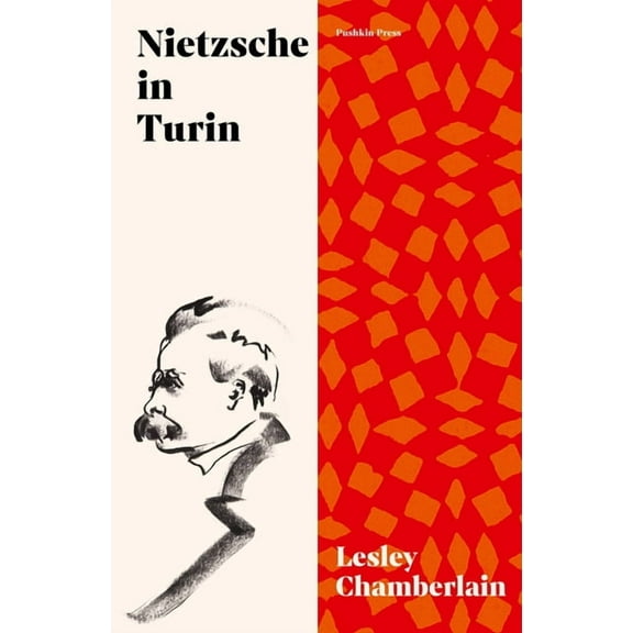 Nietzsche in Turin: The End of the Future, (Paperback)