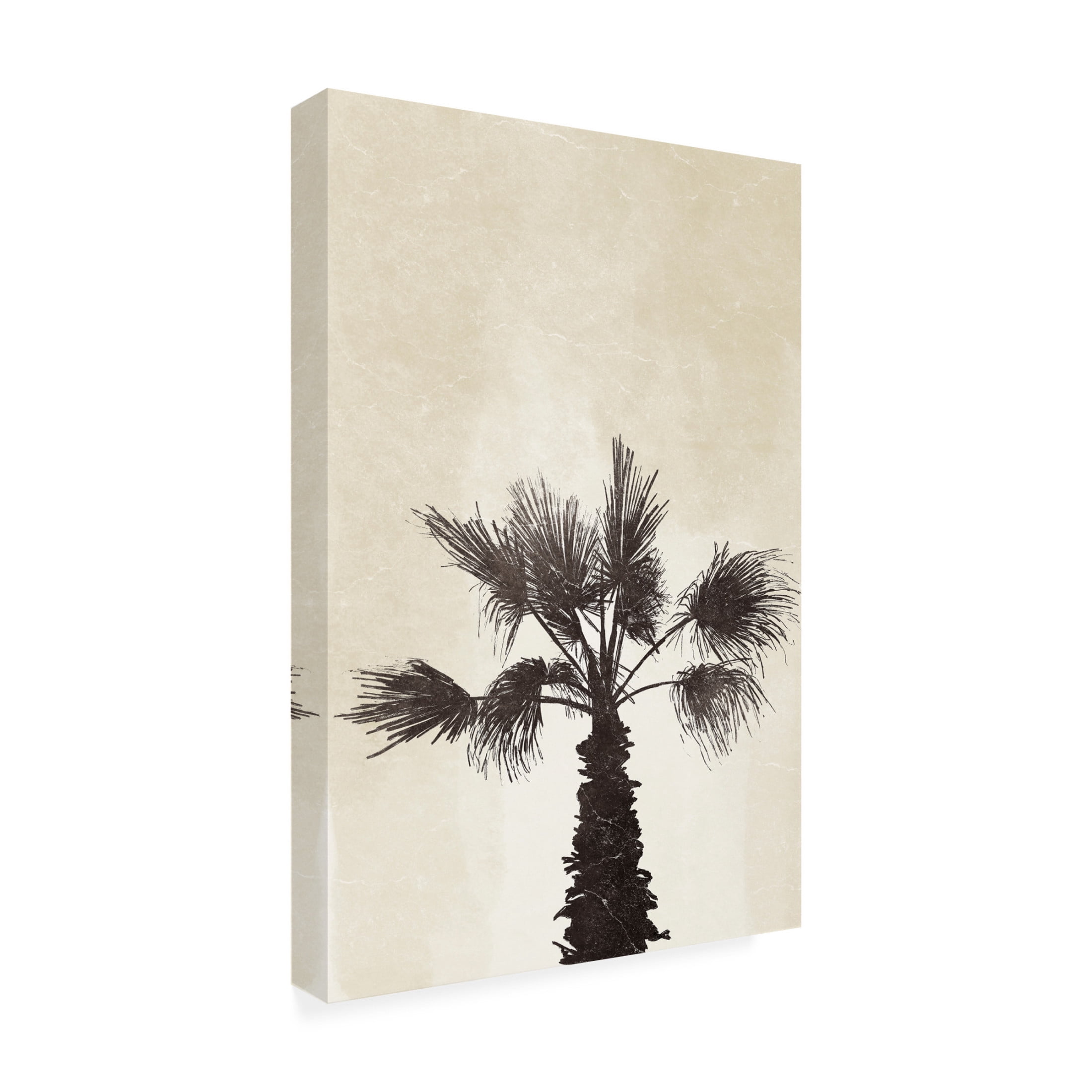 Canvas Wall Art - Yuyu Pont 'Palmera II' Wall Art for Living Room, Bedroom, or Office Décor by Trademark Fine Art - 12 x 19 Inches