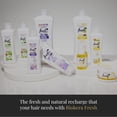 thumbnail image 6 of SALERM - Curl Activator Gel - Curly Booster Yellow Shot - 300 ml, 6 of 7