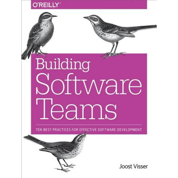 Building Software Teams: Ten Best Practices for Effective Software Development (Paperback)