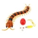 thumbnail image 1 of Control Remoto Infrarrojo Sunnimix Ciempiés Scolopendra Juguetes Para Niños, 1 of 8