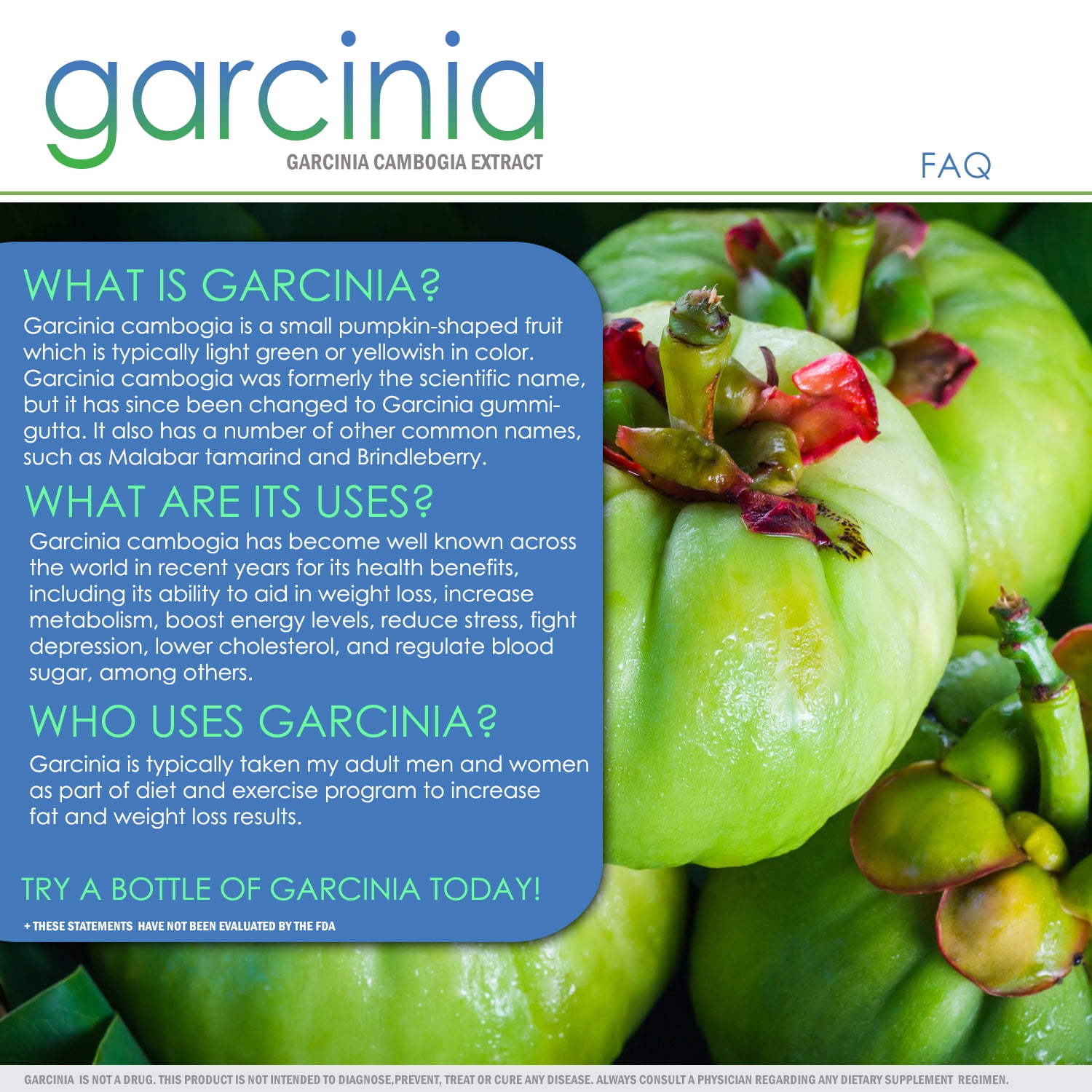 gracinia vox nutrition usa gracinia vox nutrition usa