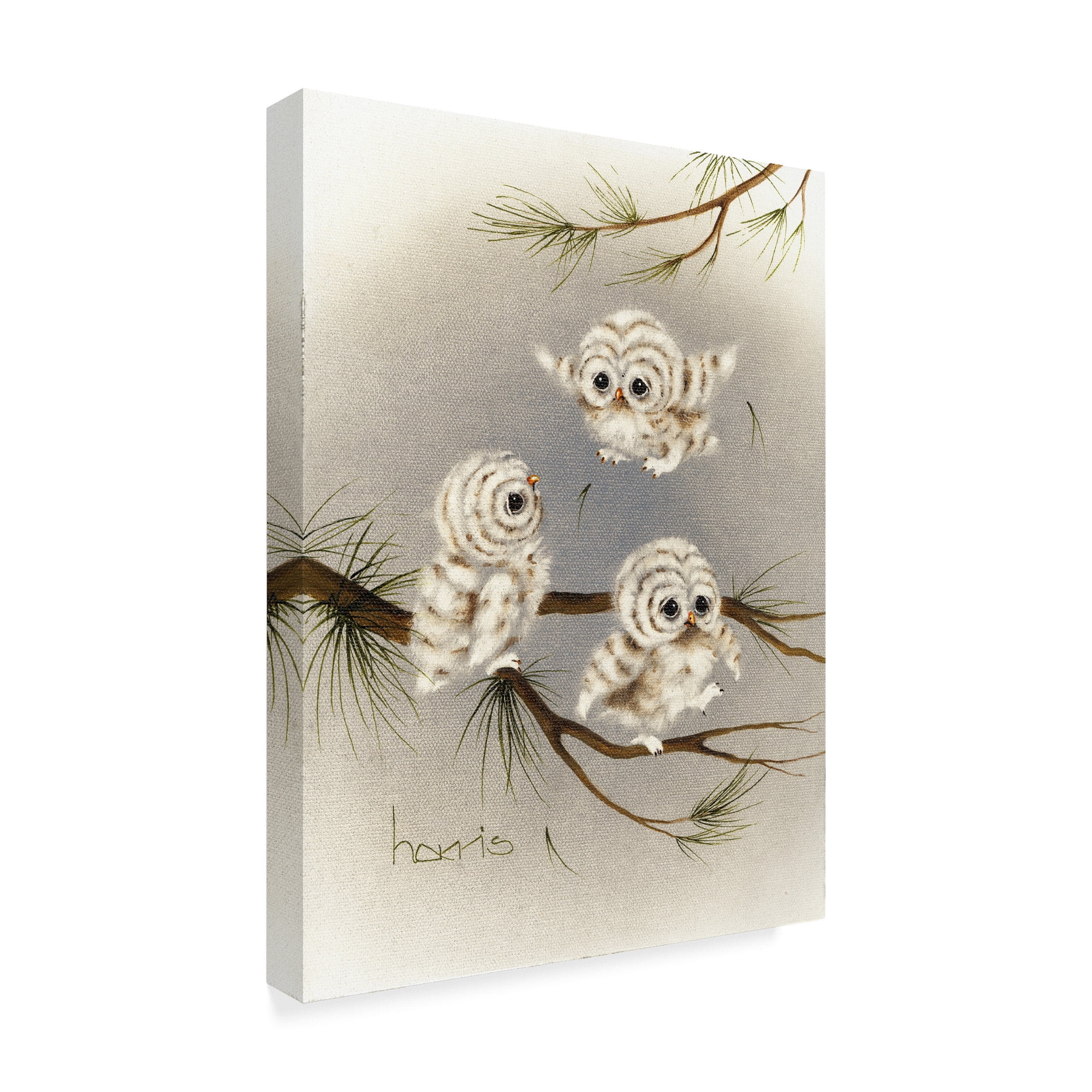 Trademark Fine Art 'Baby Barnstormers' Canvas Art by Peggy Harris