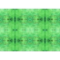 thumbnail image 1 of Ahgly Company Machine Washable Indoor Rectangle Transitional Neon Green Area Rugs, 4' x 6', 1 of 7