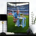 thumbnail image 1 of Póster de estrella de fútbol HaalandS, impresiones de galería, autoadhesivo, decoración del hogar, calcomanías de pared, pegatina para el salón, 1 of 5
