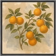 thumbnail image 5 of Framed Canvas Print Botanical Wall Art Vintage Fruit Decorative for Kitchen - 24"x24" BLACK, 5 of 8
