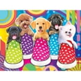 thumbnail image 2 of RoseArt Kodak 350-Piece Puppy Socks Adult Jigsaw Puzzle, 2 of 5