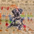 thumbnail image 3 of Wiley, Marta 20x20 Black Modern Framed Museum Art Print Titled - Colorful Dog IV Square, 3 of 5