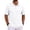 White-R9, variant on Men's Golf Polo Shirts Short Sleeve Collar Polo Shirts Button Casual Basic Lightweight Polo Sweater Solid Color Pullover Shirts,Brown M