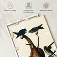 thumbnail image 6 of Elephant Stock Purple Martin Wall Art - Vertical Canvas Wall Art - Living Room Wall Decor - Education Canvas - Beige And Green Decor By John James Audubon - 8" x 12", 6 of 8