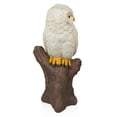 thumbnail image 3 of Alpine Corporation White Owl on Tree Trunk Statuary, 3 of 14