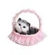 thumbnail image 2 of Simulation Animals Toy Will Call The Doll Toy Kids Birthday Party Gifts, 2 of 2