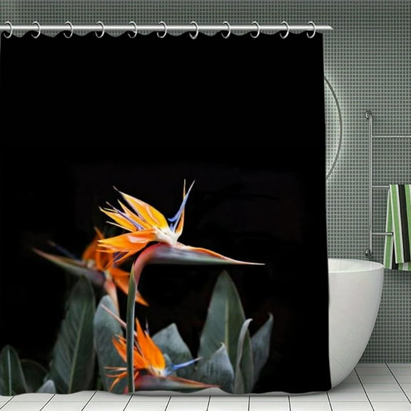 Bird Of Paradise Shower Curtain，Washable Waterproof Bathroom Shower Curtain Set With Hooks,71x71 Inch