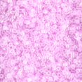 thumbnail image 2 of Miyuki Delica Seed Beads – Size 11/0 (1.6 mm), DB0248, Crystal/Pale Lilac-Lined, 7.2 g, Approx. 1440 Beads, 2 of 7